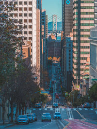 Cars on street amidst buildings in city