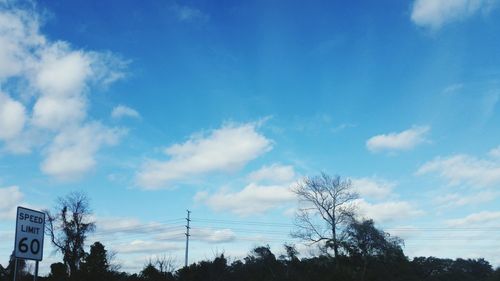 Low angle view of trees against blue sky