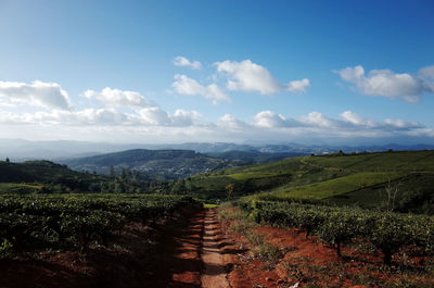 Scenic view of landscape against cloudy sky