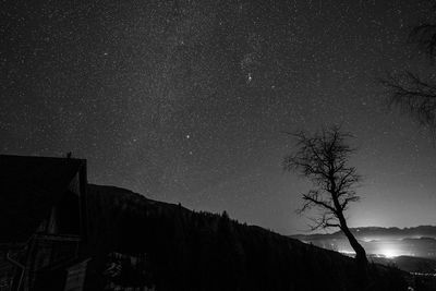 Low angle view of silhouette tree against sky at night