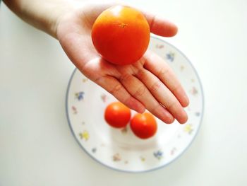 Close-up of hand holding apple