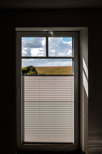 Trees seen through window