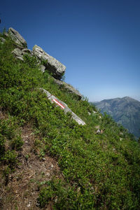 Green landscape against clear blue sky