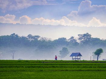 Scenic view of agricultural field against sky