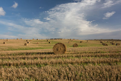 Hay bales on field against sky