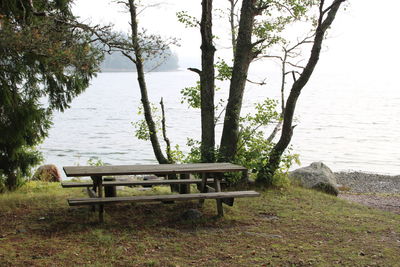 Bench in park by sea