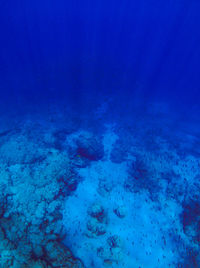 Scenic view of calm blue sea