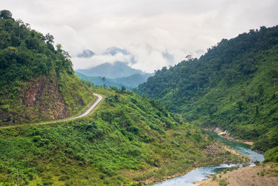 Ho chi minh highway west passing through jungle landscape, vietnam