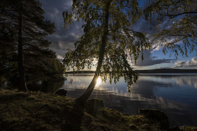 Nature reserve at baldersnäs