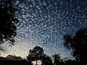 Low angle view of silhouette trees against sky