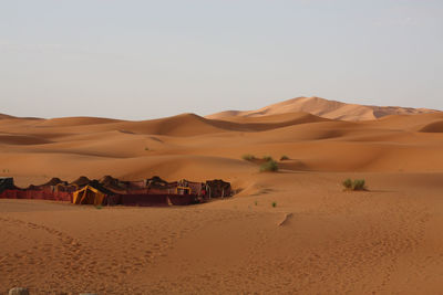 Scenic view of desert