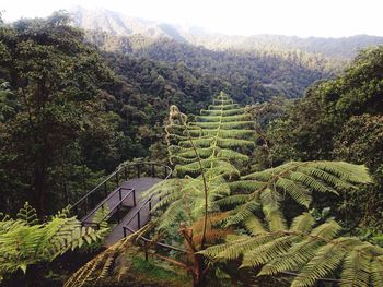 Scenic view of landscape