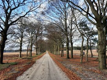 Dirt road amidst bare trees against sky