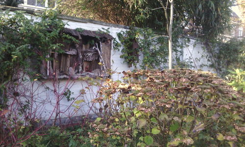 Built structure with trees in background