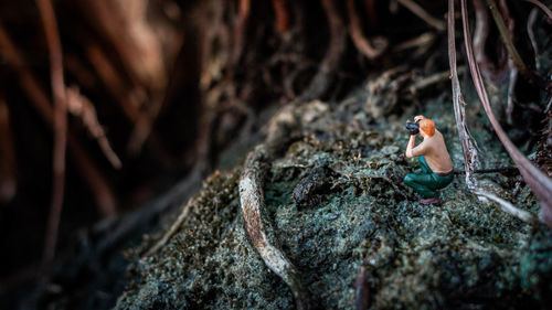 Man on rock in forest