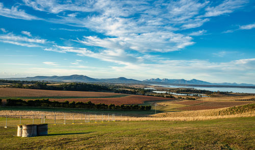 Scenic view of agricultural field against sky