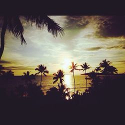 Silhouette of palm trees against sky at sunset