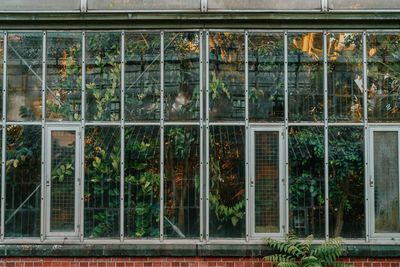 Full frame shot of glass window of building