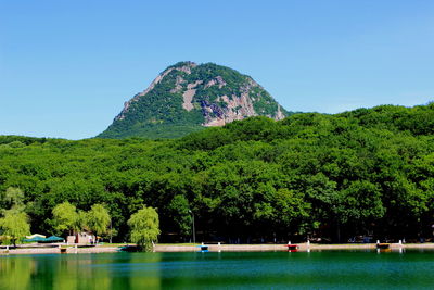 Scenic view of lake by trees against clear sky