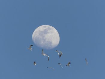 sky