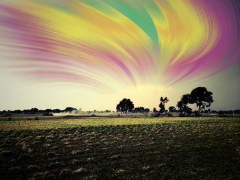 Scenic view of grassy field against sky
