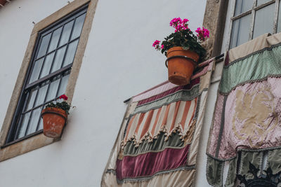 Low angle view of potted plant against building