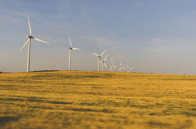 Windmills on field against sky