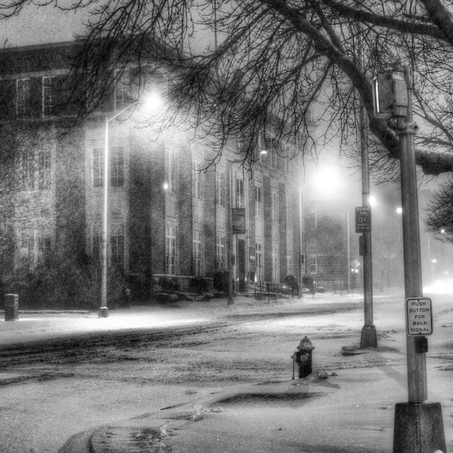 street light, street, building exterior, built structure, illuminated, architecture, city, night, road, transportation, lighting equipment, weather, season, car, tree, wet, the way forward, winter, city life, city street