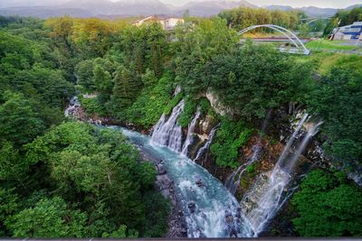 Scenic view of waterfall in forest