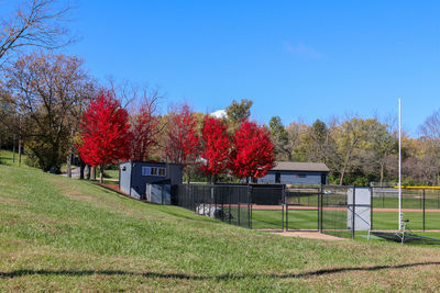 Trees on field against clear sky during autumn