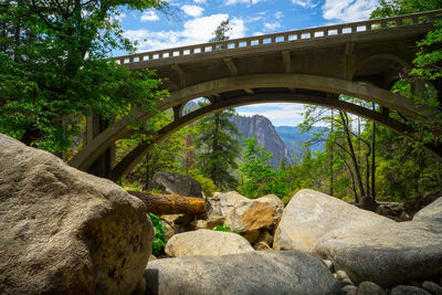 Bridge over rocks in forest