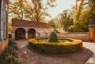 View of plants in garden