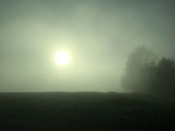 Silhouette trees on field against sky during foggy weather