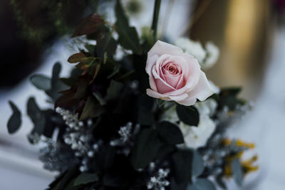 Close-up of rose bouquet