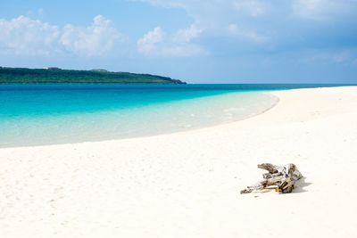 Scenic view of beach against sky