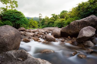 Scenic view of river by trees against sky