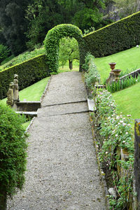 Footpath amidst plants in garden