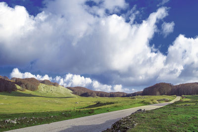 Road amidst green landscape against sky