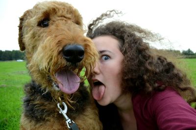 domestic animals