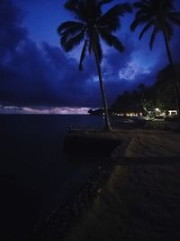 Palm trees on beach against sky at night