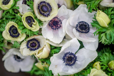 High angle view of chopped flowers