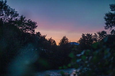 Silhouette trees in forest against sky at sunset