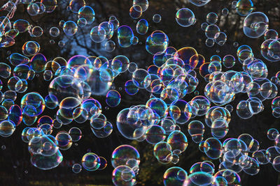 Close-up of bubbles against blurred background