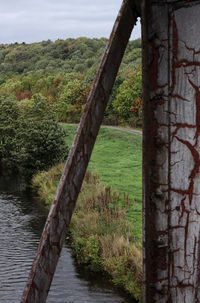 Scenic view of trees by lake