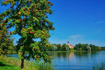 Scenic view of trees by building against blue sky