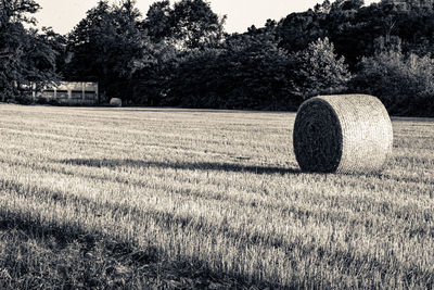 Hay bales on field