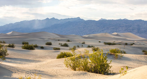 Scenic view of desert against sky