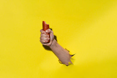 Cropped hand of woman holding seashell against yellow background