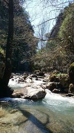 River flowing through rocks in forest