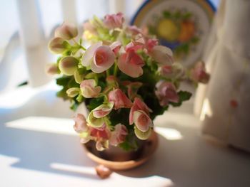 Close-up of flower bouquet